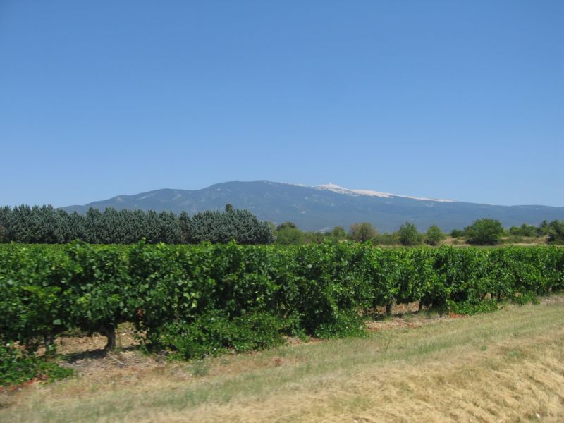 2009-08-06 Ventoux (16) look back